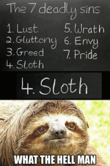 Slothsin