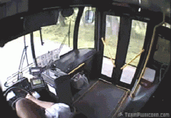Deer Jumps into Bus